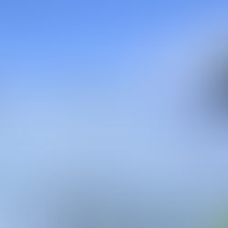 Seperti di Surga, Ini Dia Lautan Bunga yang Paling Indah di Jepang!